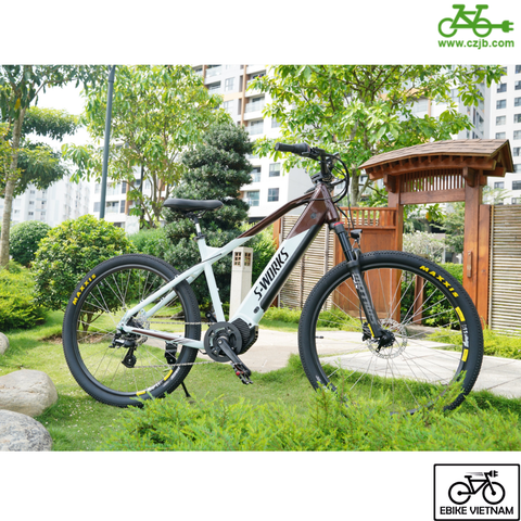 COMBO PIN SƯỜN ĐỘNG CƠ CZJB 48V750W TORQUES SENSOR