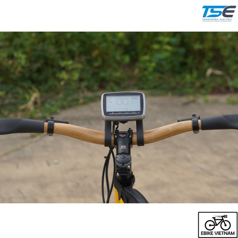 MÀN HÌNH LCD ĐỘNG CƠ TSDZ2 LCD5