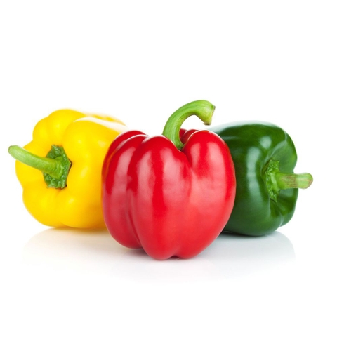 Capsicum