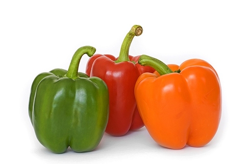 Capsicum