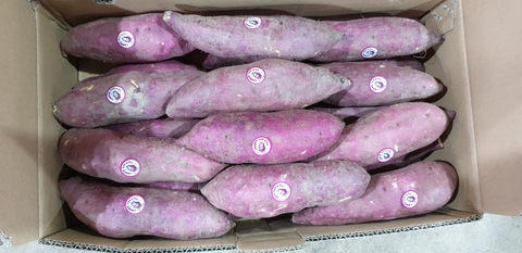 Sweet Potato