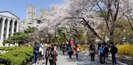 ĐIỀU KIỆN DU HỌC HÀN QUỐC VỀ HỌC VẤN