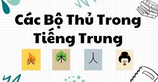 50 Bộ Thủ Thường Dùng Trong Tiếng Trung