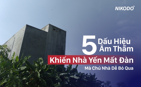5 Dấu Hiệu Âm Thầm Khiến Nhà Yến Mất Đàn Mà Chủ Nhà Dễ Bỏ Qua