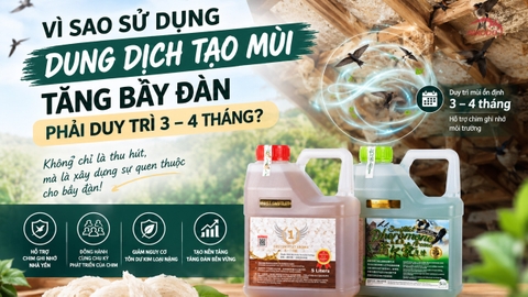 Vì Sao Sử Dụng Dung Dịch Tạo Mùi Tăng Bầy Đàn Phải Duy Trì 3–4 Tháng?