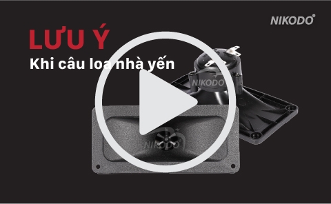 NHỮNG LƯU Ý KHI CÂU LOA NHÀ YẾN (XEM VIDEO)