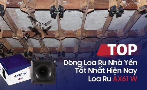 Top Dòng Loa Ru Nhà Yến Tốt Nhất Hiện Nay - Loa Ru AX61 W
