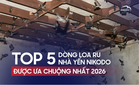 TOP 5 Dòng Loa Ru Nhà Yến Nikodo Được Ưa Chuộng Nhất 2026