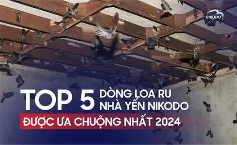 TOP 5 Dòng Loa Ru Nhà Yến Nikodo Được Ưa Chuộng Nhất 2024