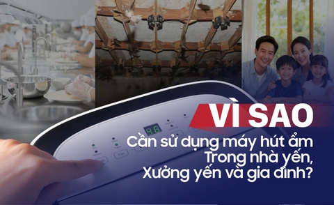 Vì Sao Cần Sử Dụng Máy Hút Ẩm Trong Nhà Yến, Xưởng Yến Và Gia Đình?