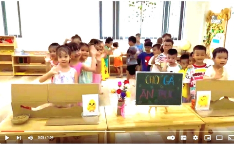 🐓🐓 KIDS : CHO GÀ ĂN THÓC. 🌾🌾