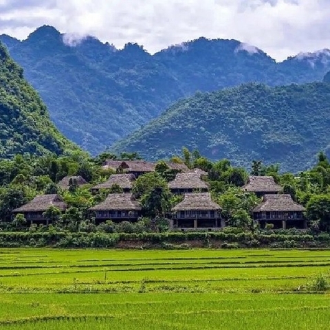 Vật Tư Công Nghiệp Hòa Bình | Dụng Cụ Cầm Tay, Phụ Kiện Khí Nén