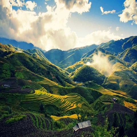 Vật Tư Công Nghiệp Lào Cai Chính Hãng – Giá Tốt