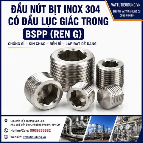 ĐẦU NÚT BỊT INOX 304 CÓ ĐẦU LỤC GIÁC TRONG  BSPP (REN G)