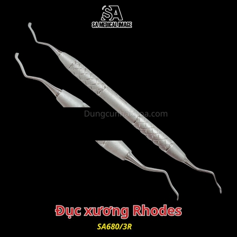 Cây đục xương Rhodes