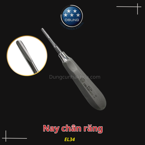 Nạy chân răng Elevator- Metal handle, stainess steel Osung(Cái)