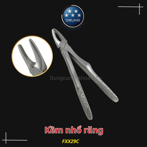 Kìm/Kềm nhổ răng cho trẻ em Extraction Forcep Osung - Asia type, for children (Cây)