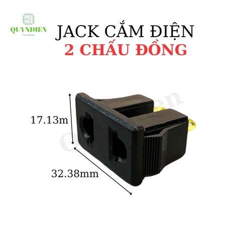 Ổ Cắm 2 Lỗ 2 Chấu Đồng Dùng Để Thiết Kế Ổ Cắm Chuyên Dụng Màu Đen