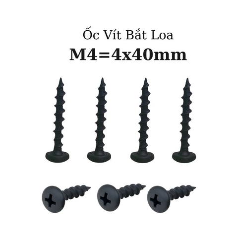 Ốc Vít Nhọn M4x40 Bắt Thùng Loa Ren Thưa Taiwan dài 40mm - Túi 100g
