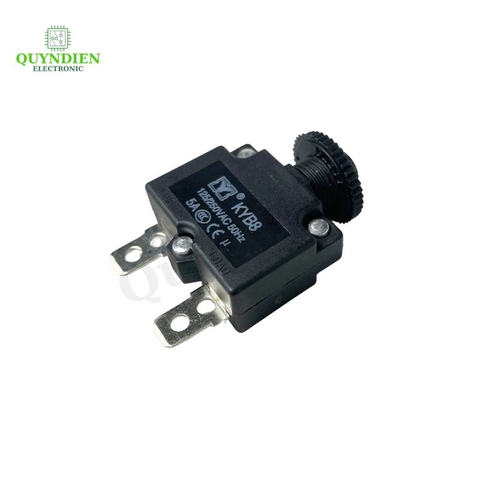 Relay Cầu Chì Tự Động Ngắt 5A