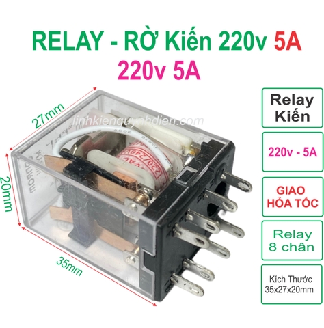 Relay rơ le Kiến 8 chân 220v - 5A trong suốt
