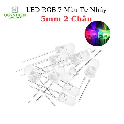 Đèn LED RGB 7 Màu Tự Nháy 5mm 2 Chân Siêu Sáng -10 bóng