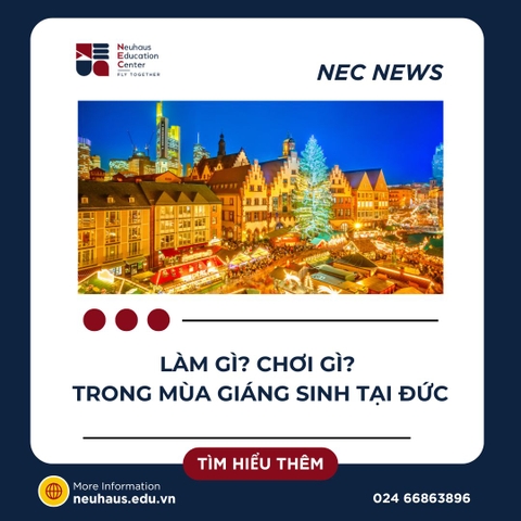 Những việc bạn có thể làm trong lễ Giáng sinh tại Đức khi đi du học nghề