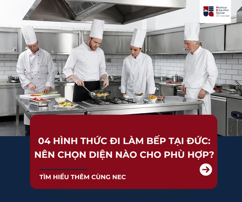 4 Hình Thức Đi Đức Làm Bếp Phổ Biến Hiện Nay: Nên Chọn Diện Nào Phù Hợp?