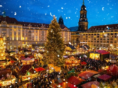 Có thể bạn chưa biết: Cây thông Noel bắt nguồn từ nước Đức 