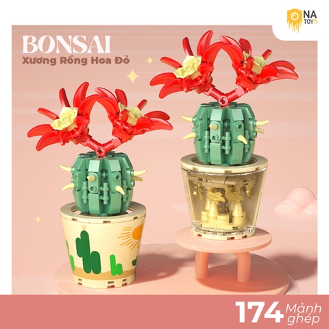 Xếp Hình Xương Rồng Hoa Đỏ