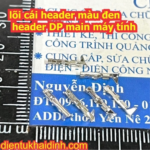 100 lõi cái header màu đen header DP, header main máy tính kde2900