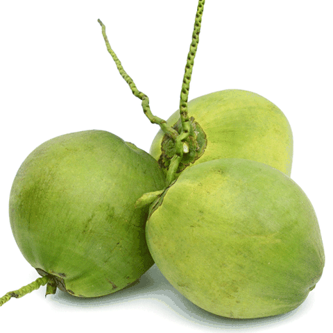 Dừa (quả)