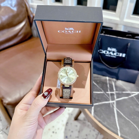 Coach Pretty In Every Little |Nữ Giới |Vàng Gold |Dây Da Nâu |Máy Pin (Quartz) |Size 32mm