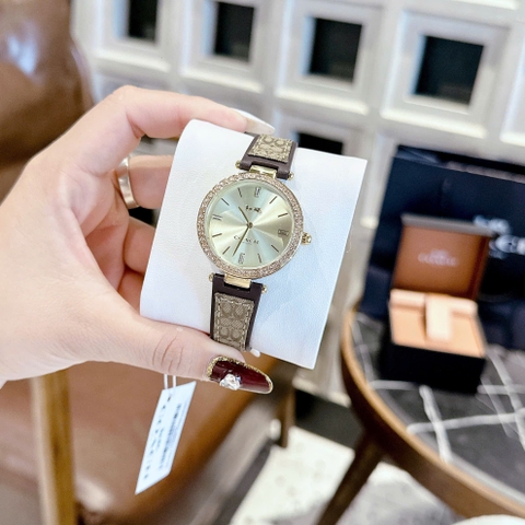 Coach Pretty In Every Little |Nữ Giới |Vàng Gold |Dây Da Nâu |Máy Pin (Quartz) |Size 32mm