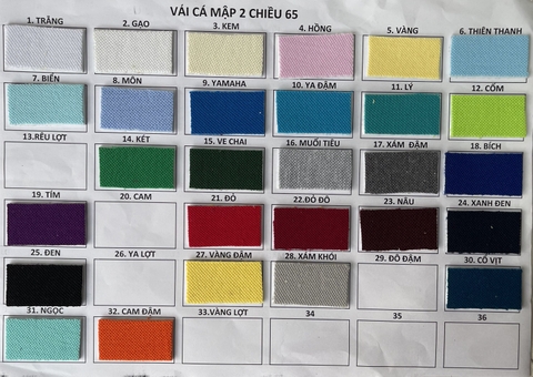 Cá mập 2 chiều Tici