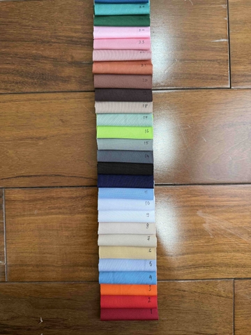 Cá sấu 4 chiều Poly