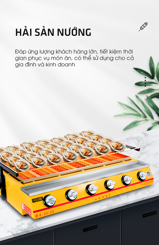 Bếp nướng ga 4-6-8 đầu đốt Eton