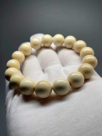 Chuỗi - Vòng Tay Ngà Voi (6 ly)