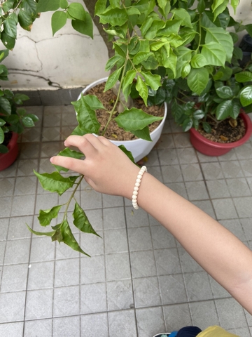 Chuỗi - Vòng Tay Ngà Voi (6 ly)