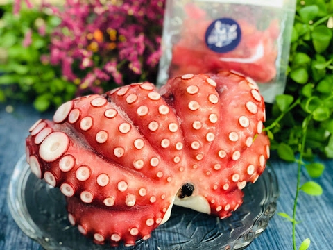 BẠCH TUỘC NHẬT SASHIMI HẢO HẠNG