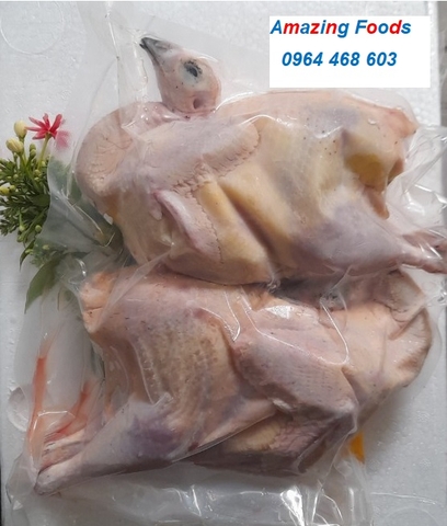 THỊT CHIM TRĨ ĐỎ | WHOLE PHEASANTS