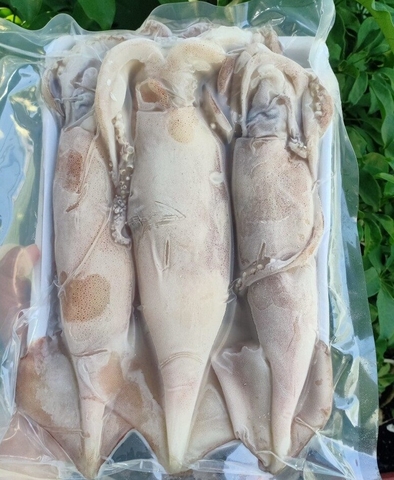 MỰC ỐNG INDO SIZE 3-4 CON/KG