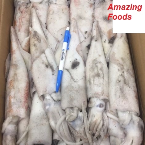 MỰC ỐNG INDO SIZE 3-4 CON/KG