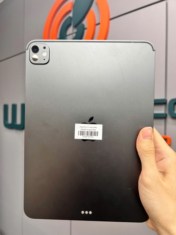 iPad Pro 11-inch (M4) 256GB Gray2/100A