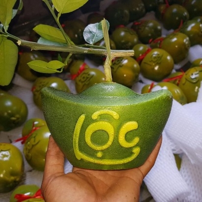 Khuôn Bưởi Thỏi Vàng số 1,2,3,4