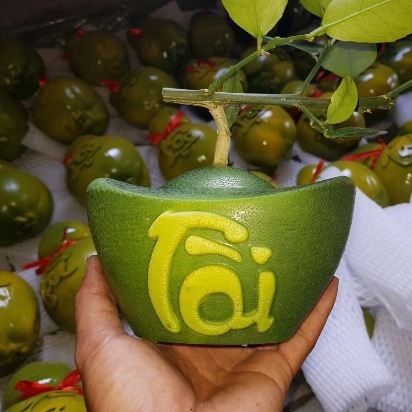 Khuôn Bưởi Thỏi Vàng số 1,2,3,4