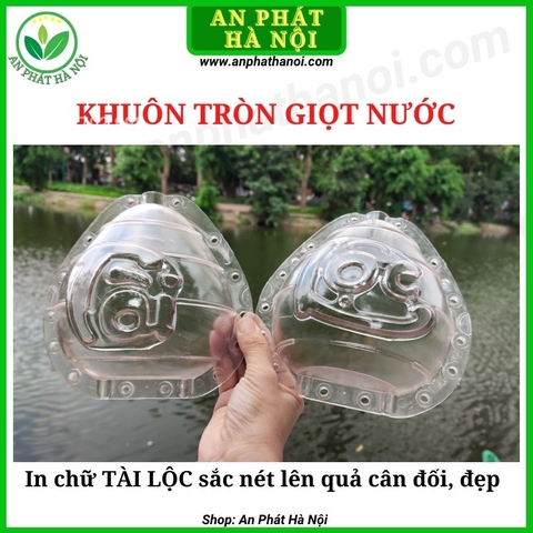 Khuôn tạo hình (Bưởi, Cam, Ổi, Quất)