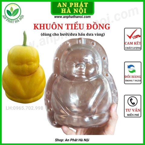 Khuôn tạo hình (Bưởi, Cam, Ổi, Quất)