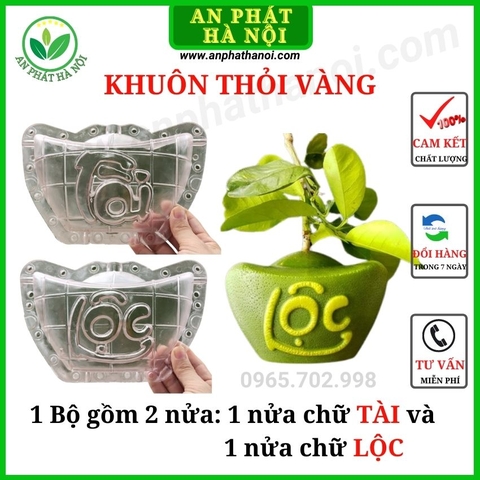 Khuôn Bưởi Thỏi Vàng số 1,2,3,4