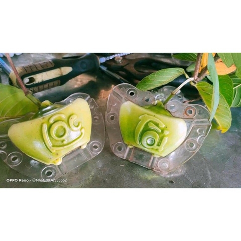 Khuôn Cam/Ổi Hình Thỏi Vàng